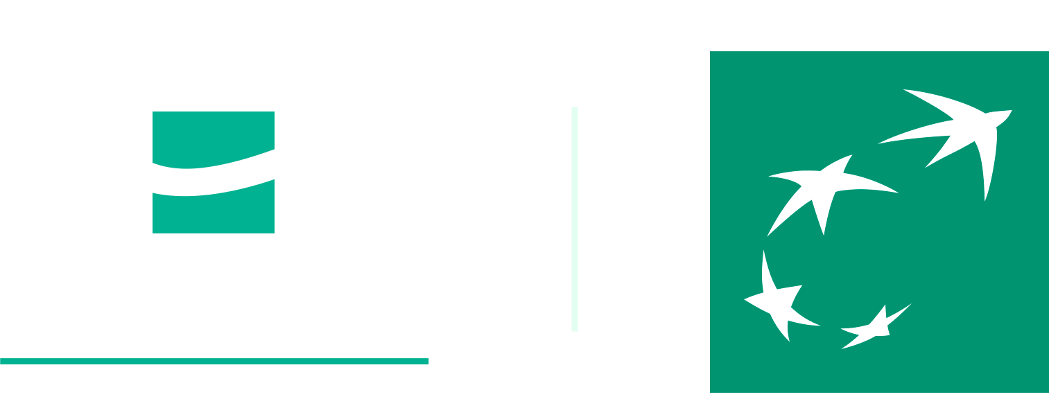 BMCI